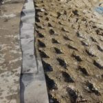 preparazione terreno impermeabilizzazione discarica Cerignola